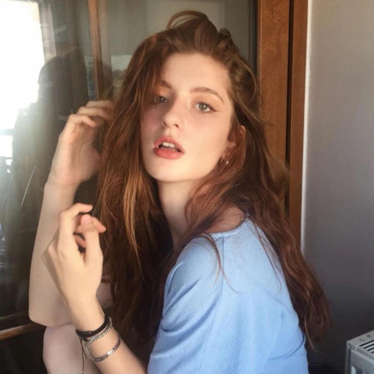 transfer666@Dashiell